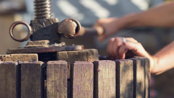 Apple Cider Pressing Workshop in Edmonton