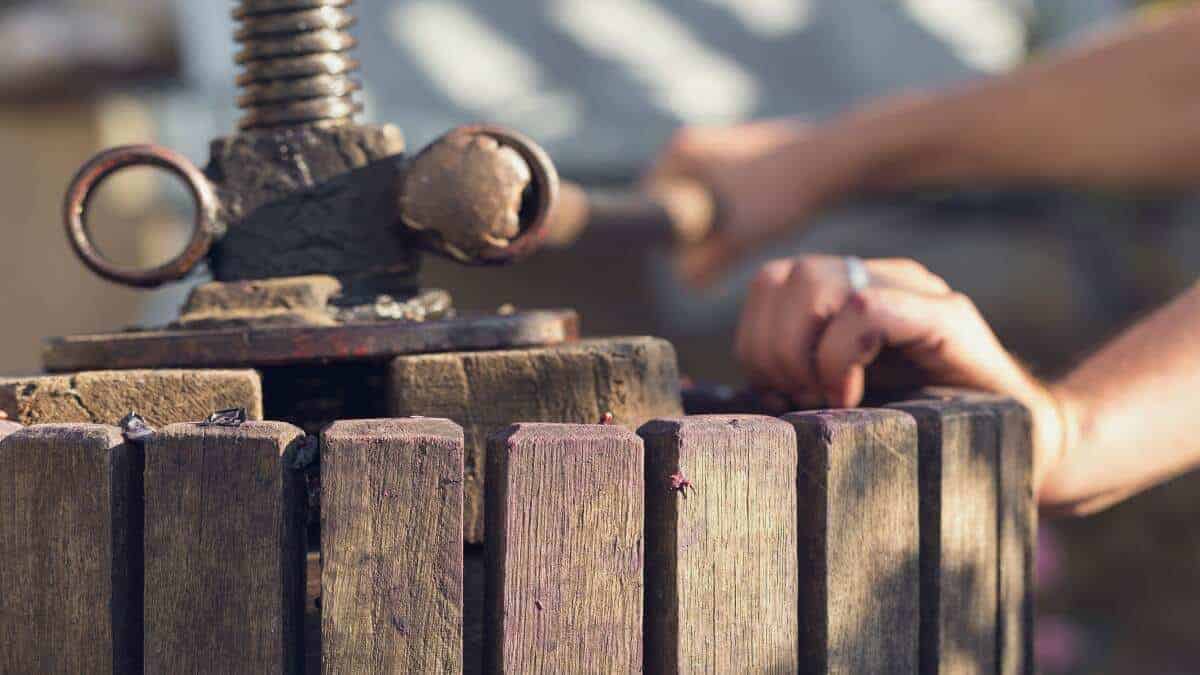 Join our family-friendly Apple Cider Pressing Workshop! Bring your apples, press fresh juice, and learn to create cider or vinegar. Perfect for all ages—sip, learn, and enjoy!