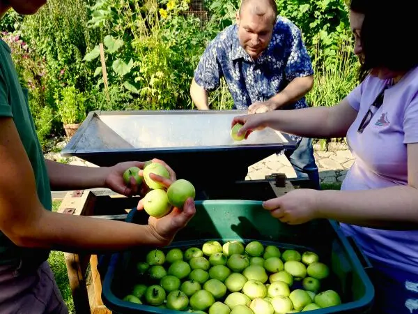 Avonmore Apple Cider Celebration Event