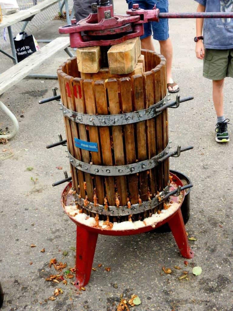 Fruit press pressing apples for their juice at a workshop in Edmonton