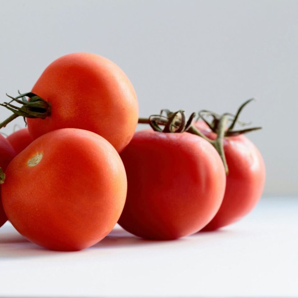 Tomato Preservation Workshop. One Evening, a Winter’s Worth of Tomatoes. 1 cluster of tomatoes isolated on white
