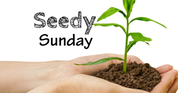 Seedy Sunday Edmonton