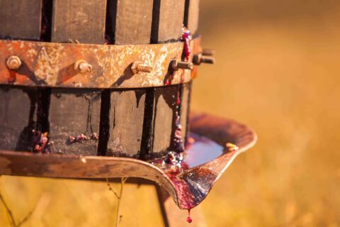 Fruit Press With Flowing Juices