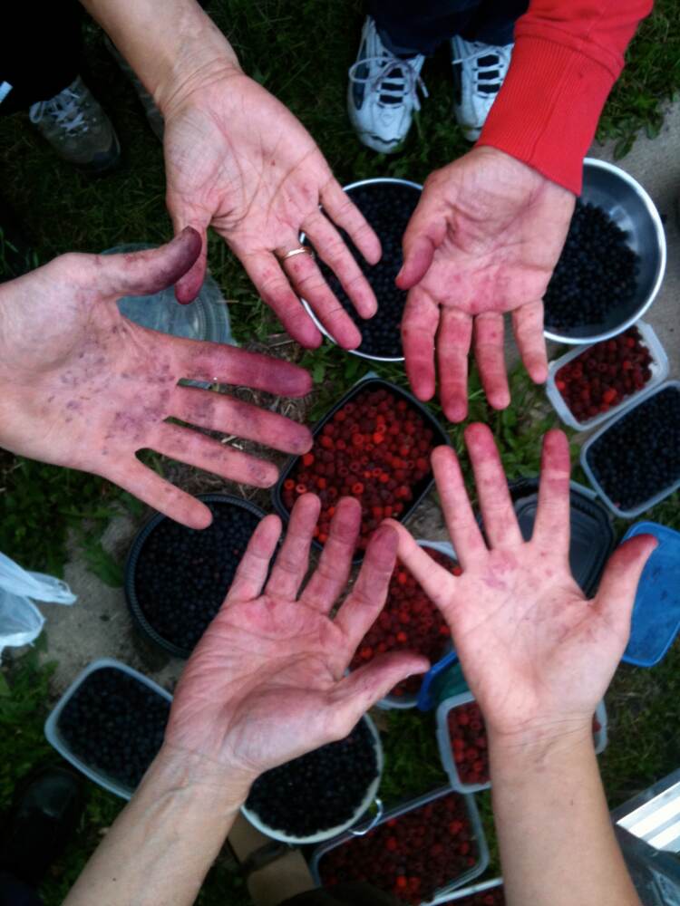 Hands of five different people all covered in fruit juice