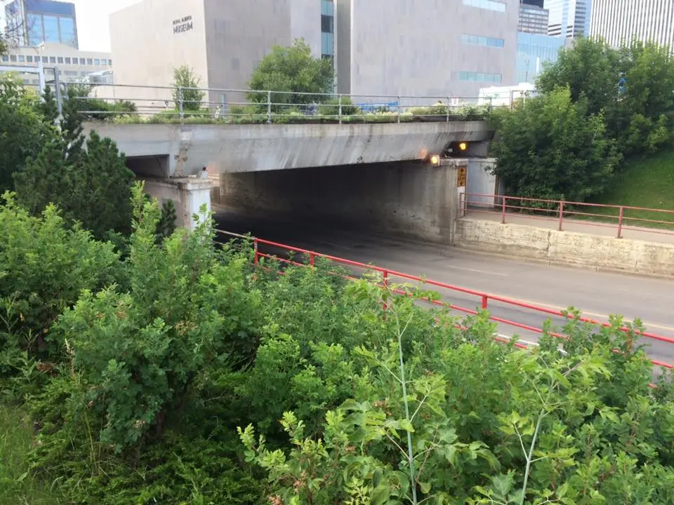 Edmonton’s Living Bridge - From Rail Line to Urban Orchard Legacy 1 Living Bridge from the Street