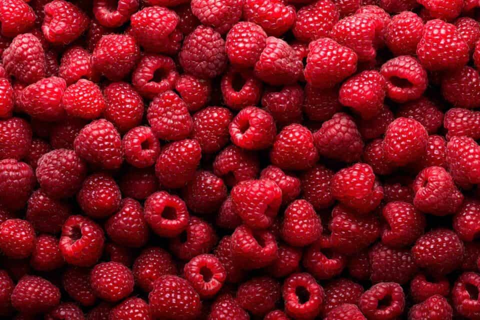 Beginner Jam Making Workshop in Edmonton 2025 1 raspberries