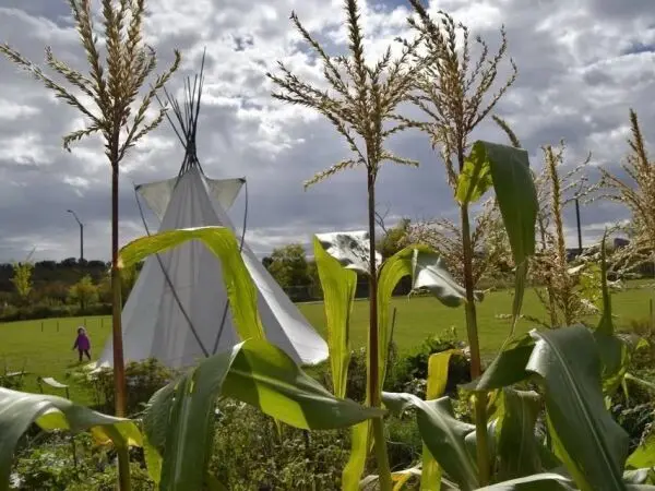 Riverdale Community League Community Garden