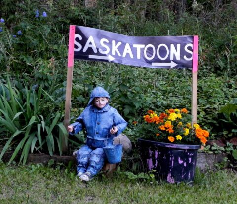 Saskatoons Sign at OFRE Glean Event