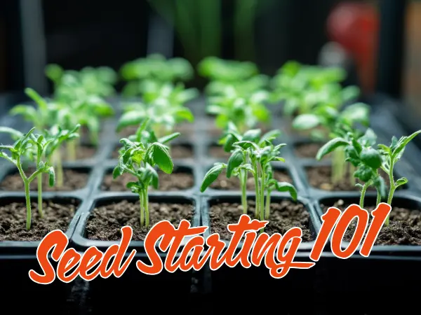 Seed Starting 101 Workshop