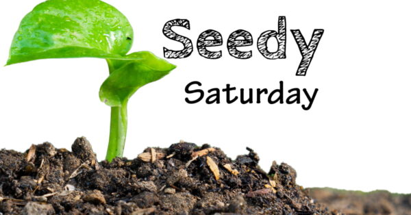 Seedy Saturday Edmonton